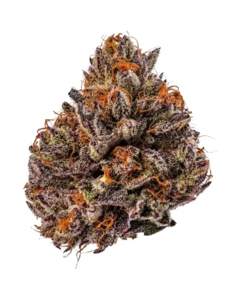 triploid-f1-tropicana-cherry_20589_20250206110621955613_